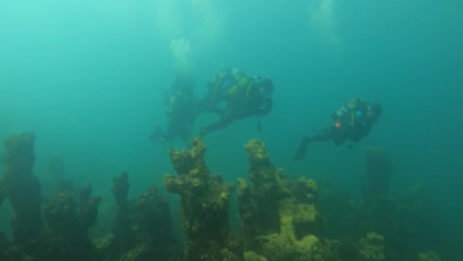 Screenshot 2026-04-16 163614